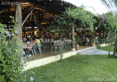 Paloma Beach 28